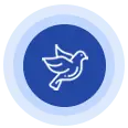 birds