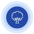 trees